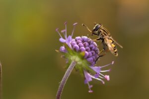 美容家電のおすすめサイトはどれが信頼できる？