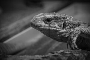 美容家電を購入する方法はこれだ！あなたに合った選び方は？